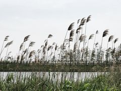 -春花秋色城市公园