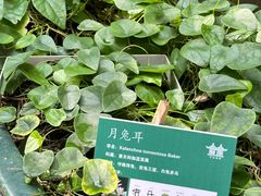 -中山詹园