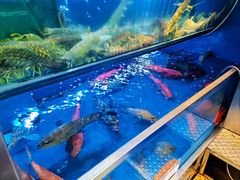 -協成海鮮火鍋(老店)
