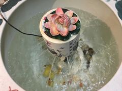 -大郎桥瑞陆糖粥(小太平巷店)