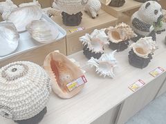 -崂山风景区-大河东游客中心