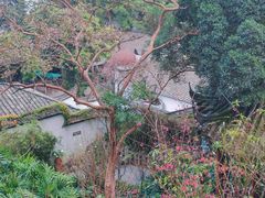 -乌山风景区