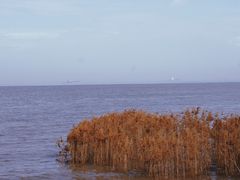 -上海吴淞炮台湾国家湿地公园