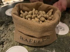 -Long Bar(莱佛士酒店)