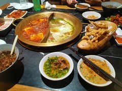 -杨家火锅(国美店)