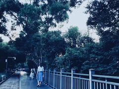 -铁路文化公园