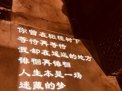 -纳瓦新疆菜(银都店)