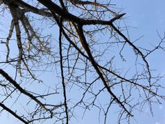 -证大大拇指广场(芳甸路店)