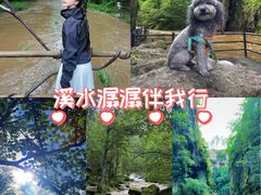 -茅兰沟国家森林公园