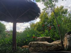 -七彩云南古滇温泉山庄