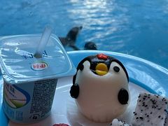 -帝企鹅自助餐厅•儿童岛•真企鹅(长隆企鹅酒店)