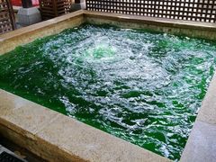 -春晖园度假酒店温泉