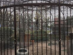 小浣熊-萌宠亲子动物乐园(槐房万达店)