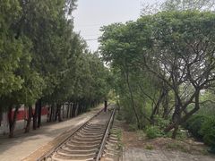 -府君山公园