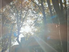 -西安电影制片厂