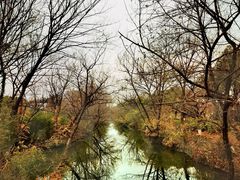 -西溪国家湿地公园