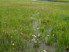 -迪庆藏族自治州博物馆