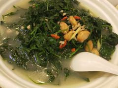 -清心鸡沙田乳鸽店·非遗传承(石溪店)