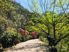 -龙湾潭国家森林公园