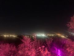 -莫子山公园