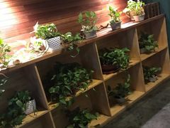 -梧桐树下(云锦世家店)