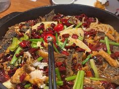 -老板恋上鱼(恒隆广场店)