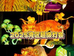 -欢乐海岸椰林沙滩-2025湾区超级灯会
