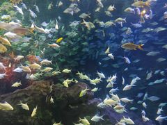 -成都浩海立方海洋公园