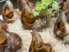 盐水芝麻螺-海味世家·家常菜馆(明州里店)