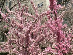 -哈尔滨商业大学(南校区)