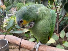 -南宫五洲植物乐园