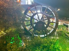 -慢丽江·云南野生菌土鸡锅(付家庄店)
