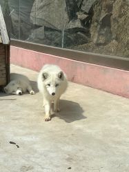 -童心园麦窑·儿童拓展探宝乐园