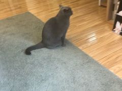 -壹人壹像工作室(购物公园店)