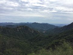 -大岭沟猕猴桃谷风景区