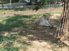 -秦皇岛野生动物园