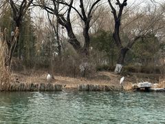 -济南大明湖景区