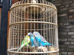 -鱼桥巷·美学川菜