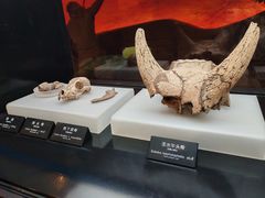 -河姆渡遗址博物馆