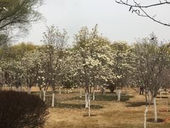 -济南植物园