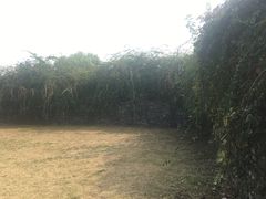 -东关历史文化旅游区-东门遗址