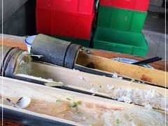 -丰依竹食·老牌竹筒饭