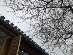 -春风习习