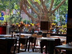 -顺德公广东猪肚鸡·煲仔饭(白石洲店)