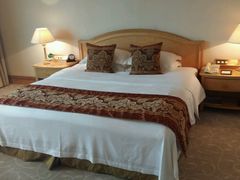 -南京维景国际大酒店(南京博物院店)