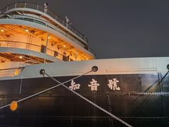 -武汉知音号