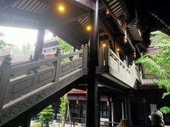 -乐山乌木文化博览苑