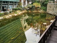 -活水公园