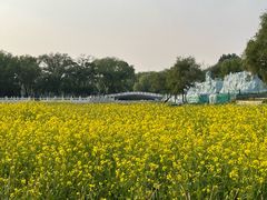 -北陵公园