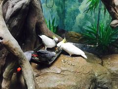 -福州罗源湾海洋世界旅游区